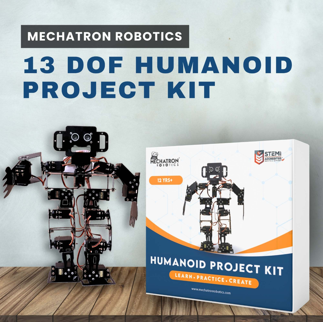 Humanoid Metal Frame Project Kit